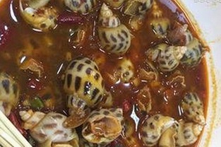 娱乐圈“翻车”事件频发，网红黑料引发热议