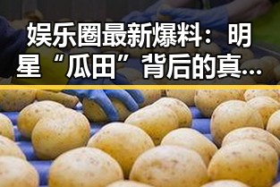 娱乐圈最新爆料：明星“瓜田”背后的真相与现状