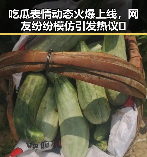 吃瓜表情动态火爆上线，网友纷纷模仿引发热议🤔