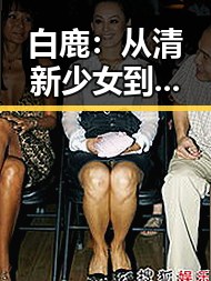 白鹿：从清新少女到多面才女的蜕变之路✨