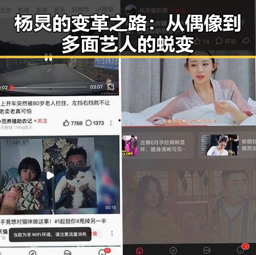 杨炅的变革之路：从偶像到多面艺人的蜕变