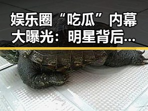 娱乐圈“吃瓜”内幕大曝光：明星背后不为人知的秘密引发热议🔥